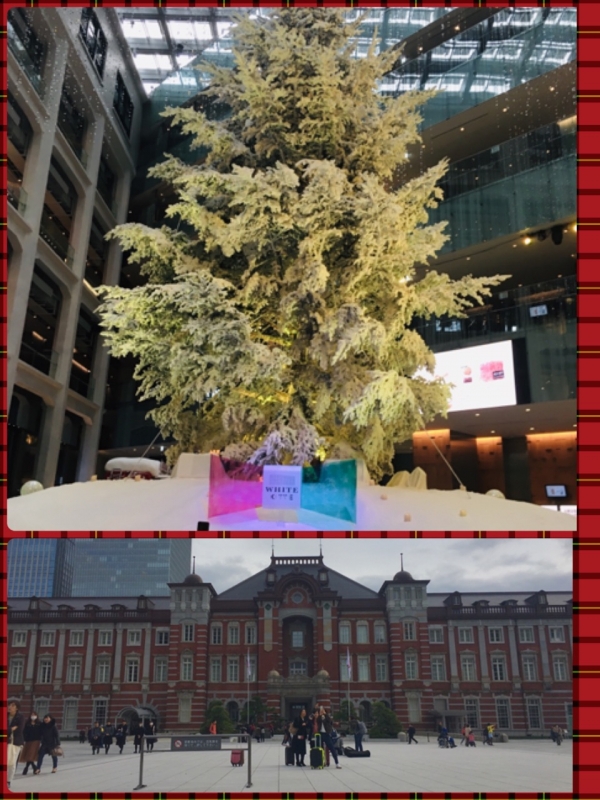 歴史ある東京駅とクリスマスツリー！